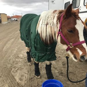 Meet your Posher, Ava